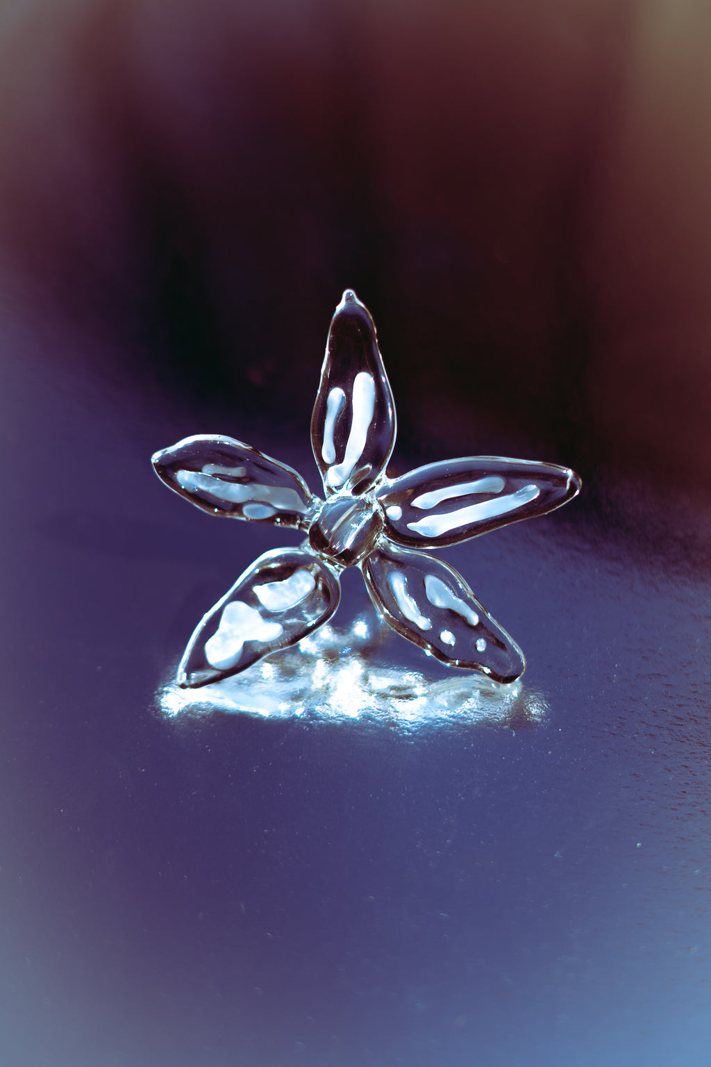 CATALEYA CRISTAL RING