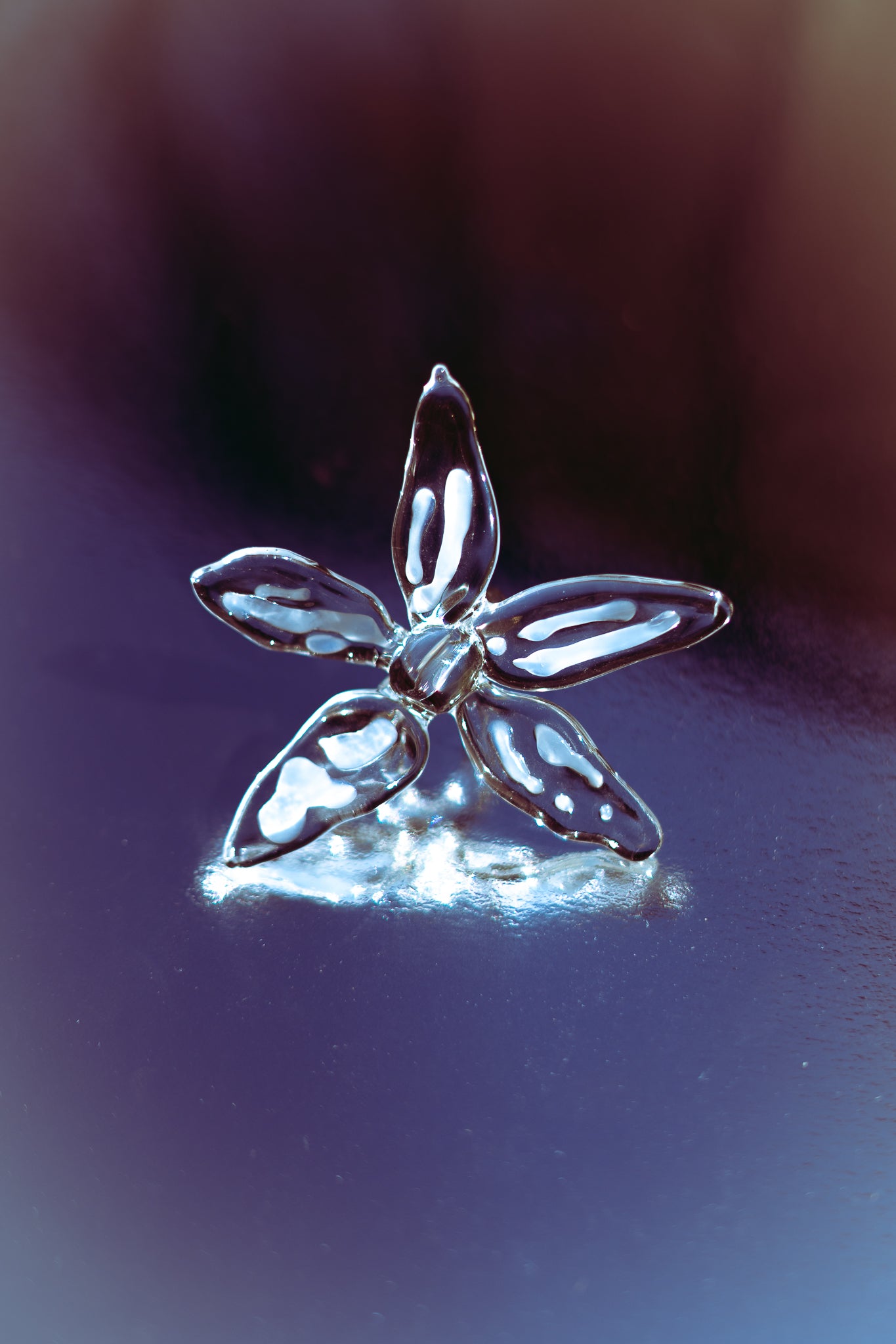 CATALEYA CRISTAL RING