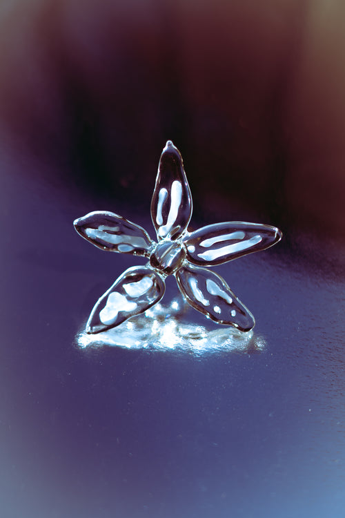 CATALEYA CRISTAL RING